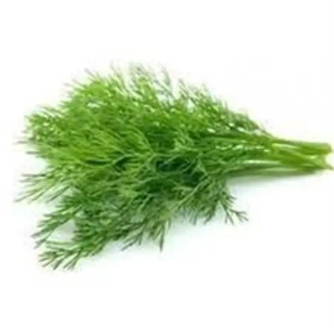 Dill Herbs 50G
